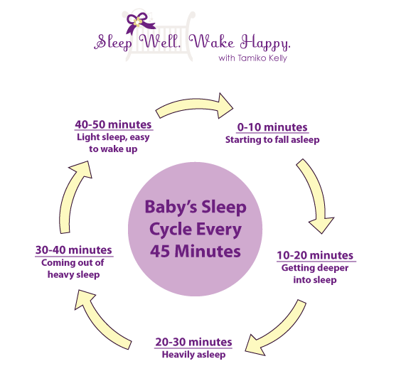 what-are-the-stages-of-the-sleep-cycle-nite-1g